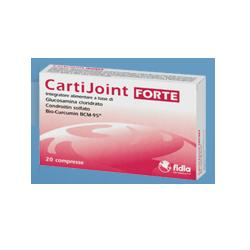 CARTIJOINT FORTE 20 TABLETS