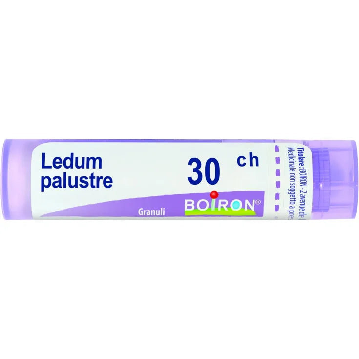 LEDUM PALUSTRE BOI 30 CH GRANULES 1 MULTIDOSE PP CONTAINER OF 4 G (80 GRANULES) WITH PS DISPENSING CAP