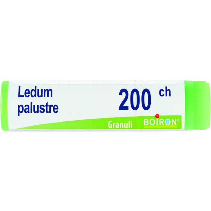 LEDUM PALUST 200CH GL 1G