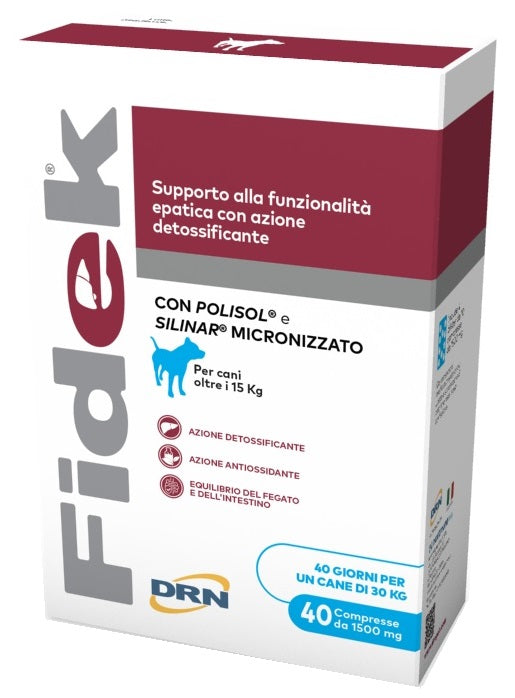 DRN FIDEK 40 TABLETS 1.5 G