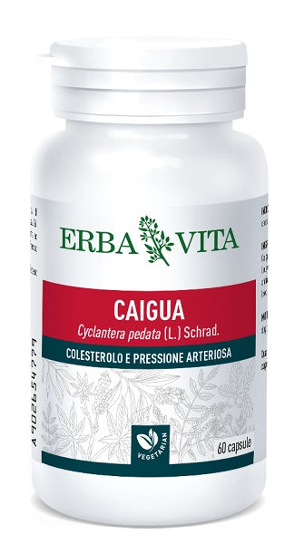 CAIGUA 60 CAPSULES 400 MG