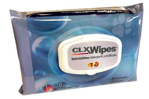 CLX WIPES 40 WIPES