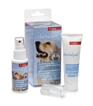 DENTALPET TOOTHPASTE KIT 50ML + ORAL SPRAY 50ML + 1 THIMBLE