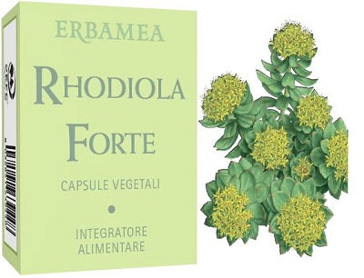RHODIOLA FORTE 24 CAPSULES