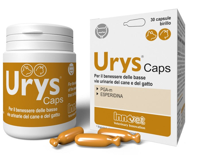 URYS CAPS 30 CAPSULES