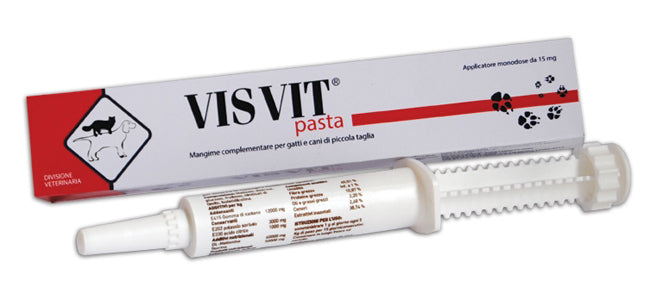 VISVIT PASTA OS SYRINGE 15 G