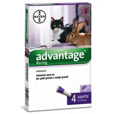 ADVANTAGE 80 MG SOLUZIONE SPOT-ON PER GATTI GRANDI E CONIGLI GRANDI