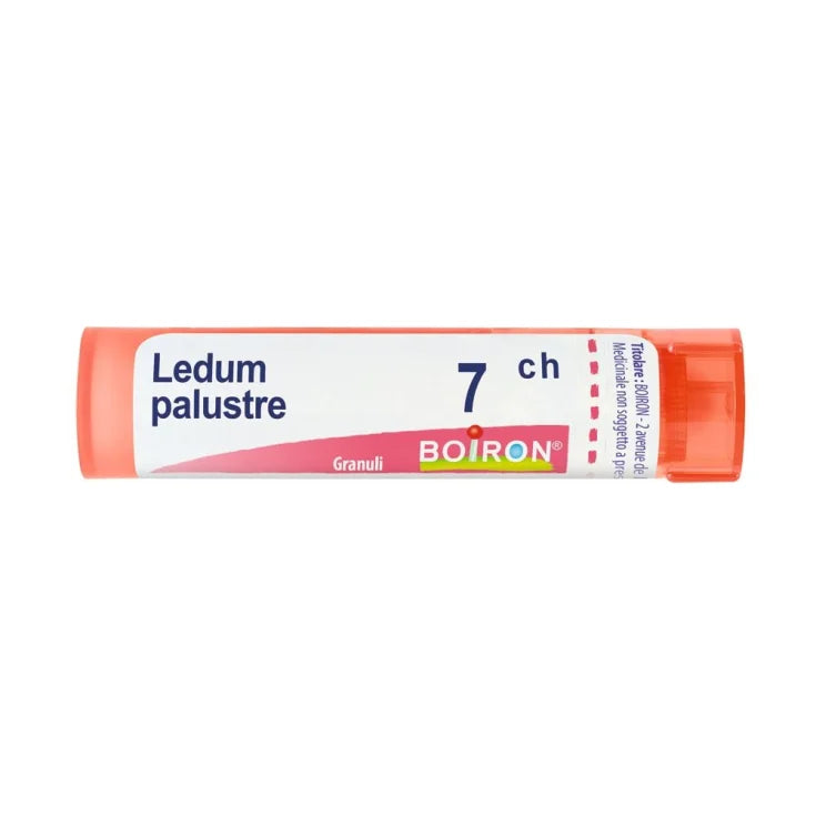 LEDUM PALUSTRE BOI 7 CH GRANULES 1 MULTIDOSE PP CONTAINER OF 4 G (80 GRANULES) WITH PS DISPENSING CAP