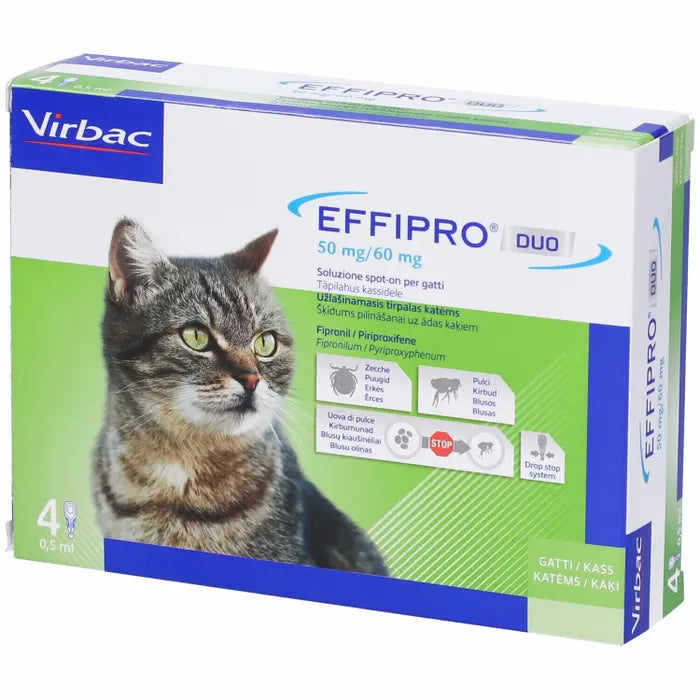 EFFIPRO DUO*4PIP 1-6KG GATTI