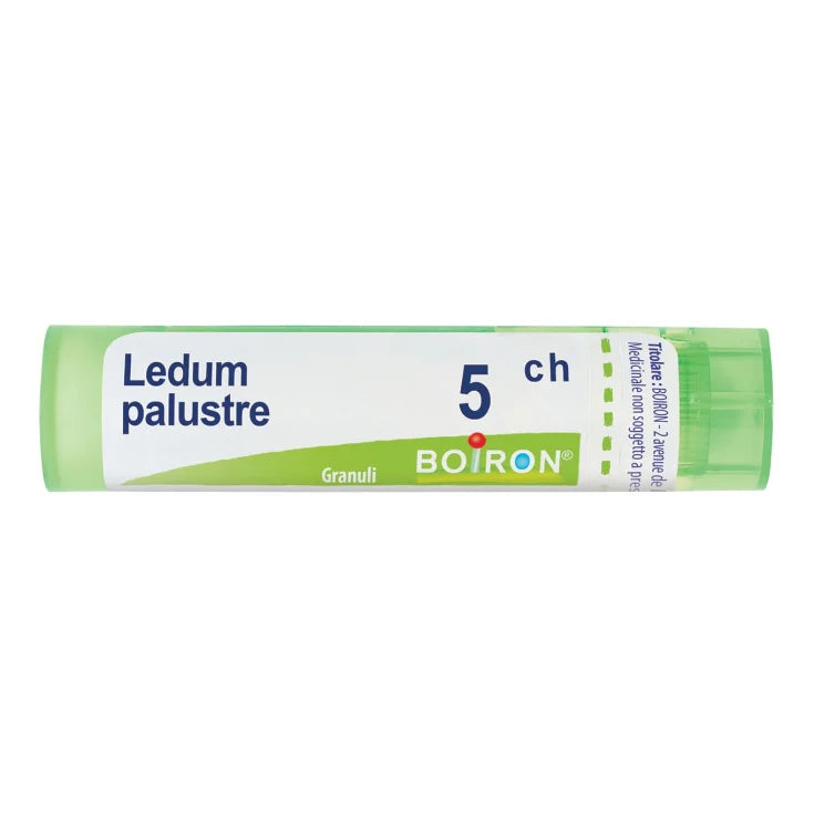 LEDUM PALUSTRE BOI 5 CH GRANULES 1 MULTIDOSE PP CONTAINER OF 4 G (80 GRANULES) WITH PS DISPENSING CAP