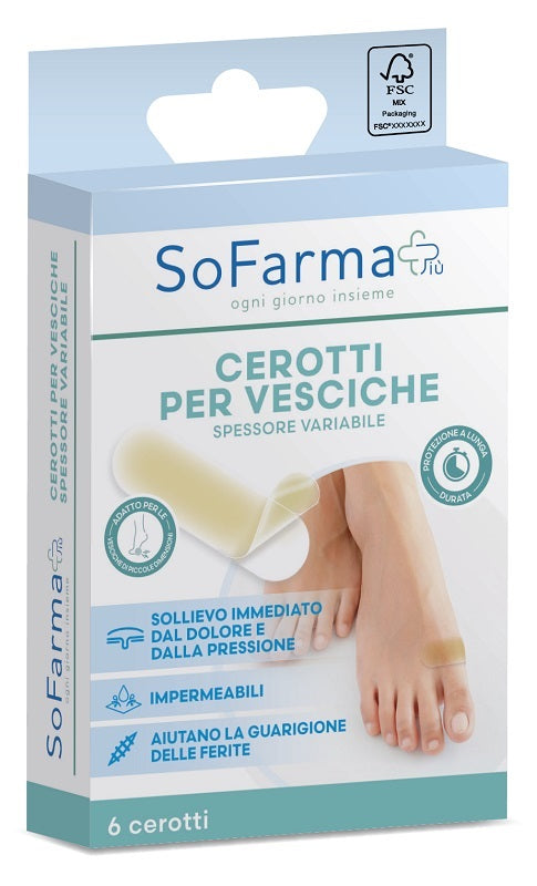 Small blister plaster 20 x 60 mm 6 pieces sofarmapiu'