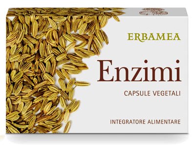 ENZYMES 24 VEGETABLE CAPSULES