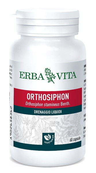 ORTOSIPHON 60 CAPSULE 400 MG