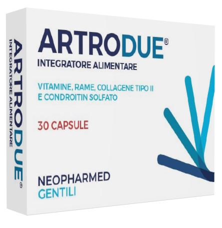 ARTRODUE 30 CAPSULES 0.2 G