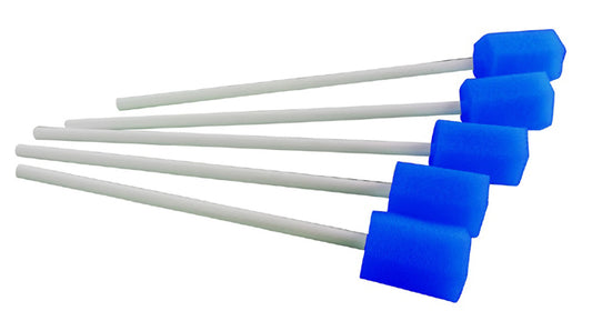 5-Piece Oral Cleaning Stick