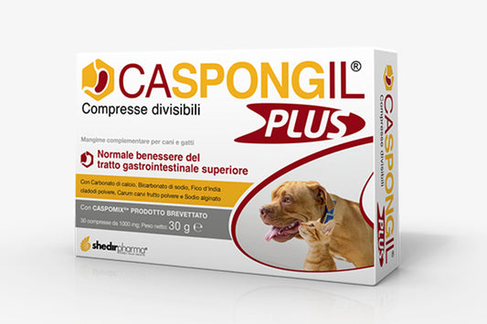 CASPONGIL PLUS 30 TABLETS