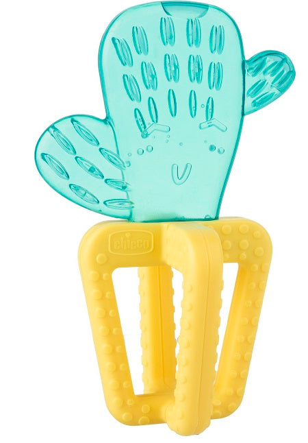 CHICCO MASSAGGIA FRESH CACTUS 4M+