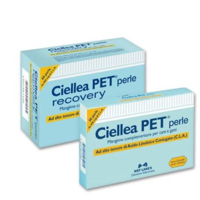 CIELLEA PET BLISTER 30 PEARLS