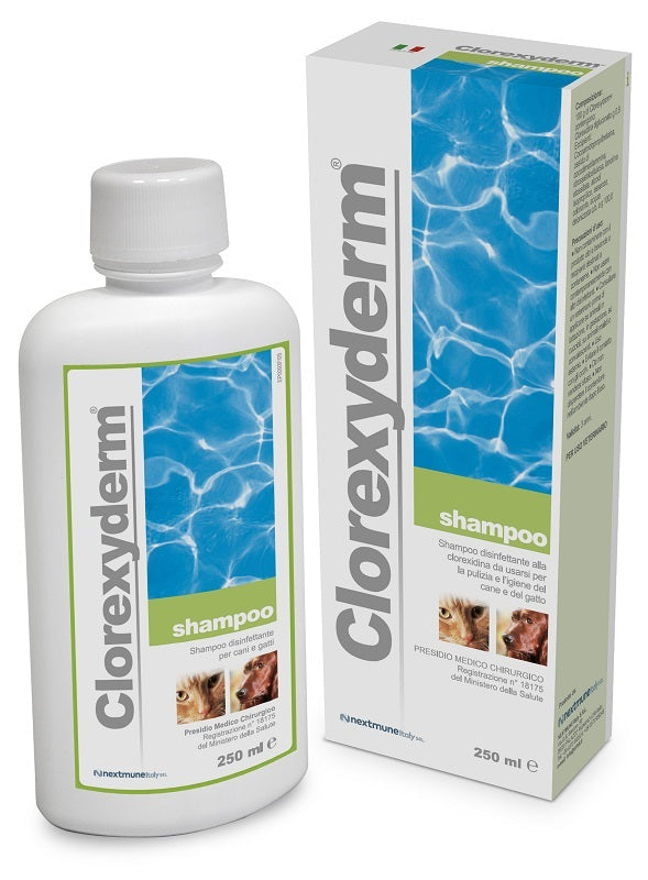 CLOREXYDERM SHAMPOO 250 ML