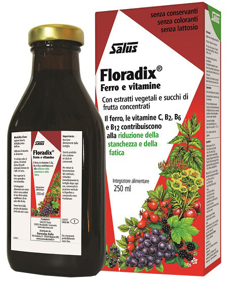 FLORADIX IRON AND VITAMINS 250 ML