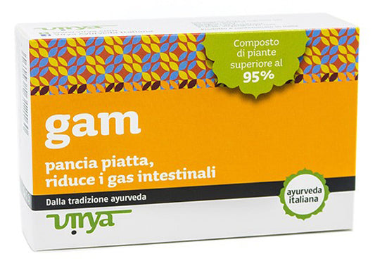 GAM VIRYA 60 TABLETS