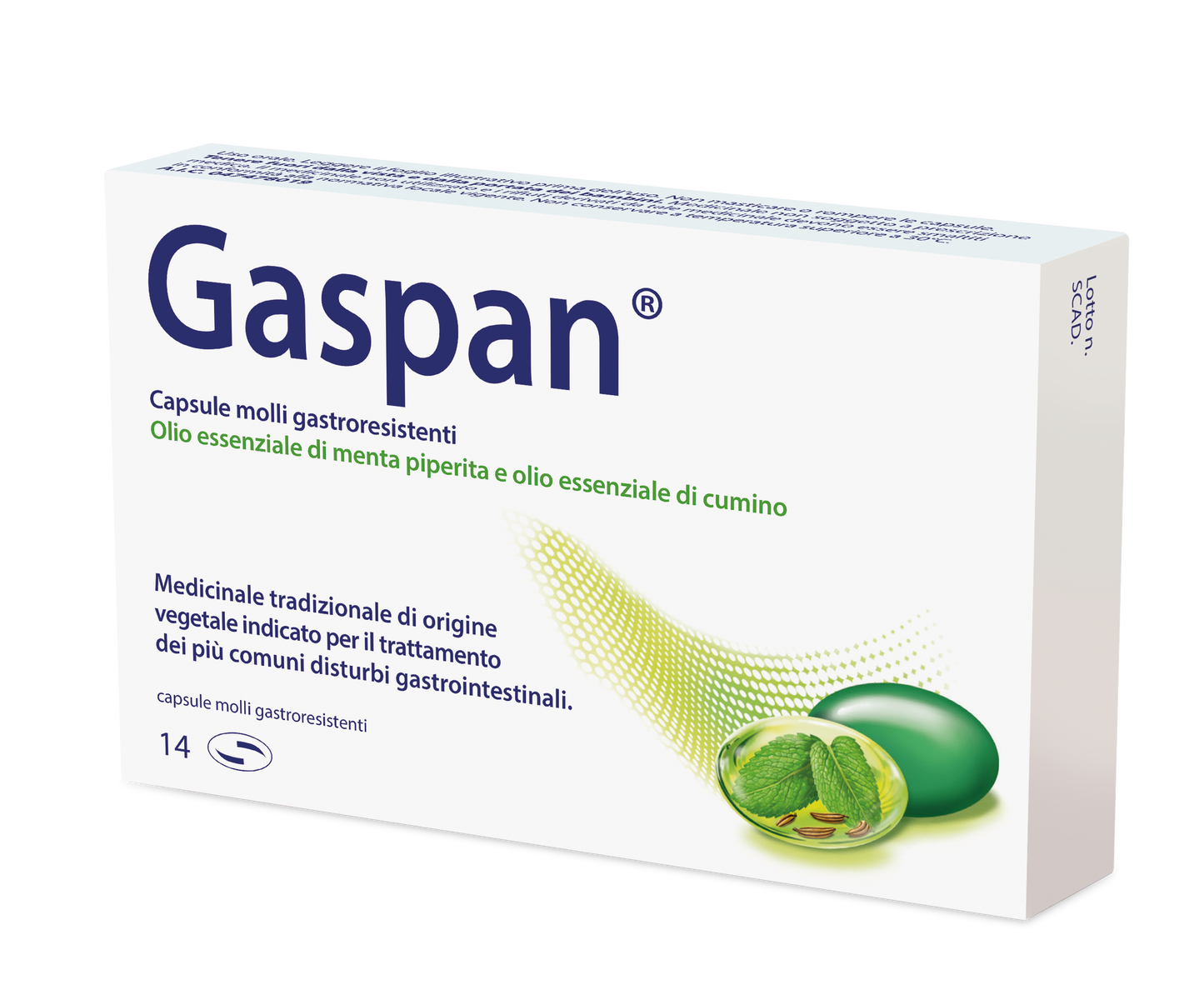 GASPAN CAPSULA MOLLE GASTRORESISTENTE 14 CAPSULE IN BLISTER PVC/PVDC-AL