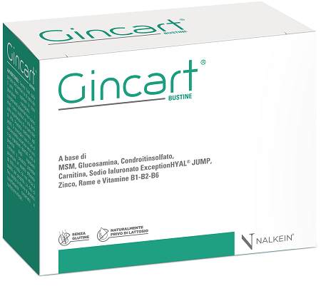 GINCART 18 SACHETS
