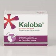 KALOBA*orale grat 21 bust 800 mg