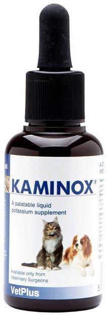 KAMINOX SCIROPPO 60 ML