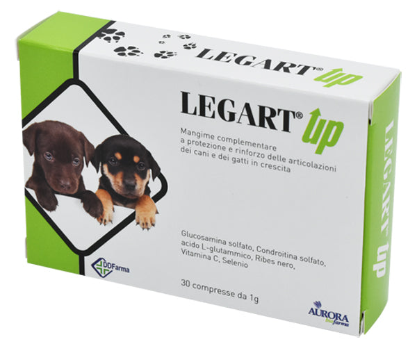 LEGART UP 30 TABLETS