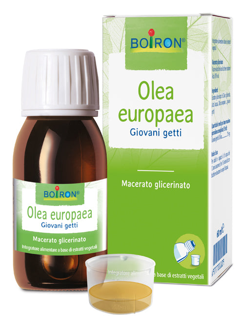 OLEA EUROPAEA BOIRON MACERATO GLICERICO 60 ML