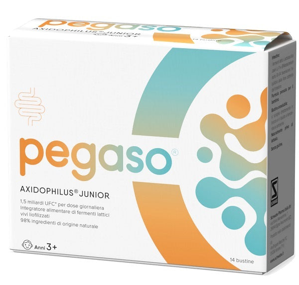 PEGASO PIGRO JUNIOR 14 BUSTINE DA 1,5 G