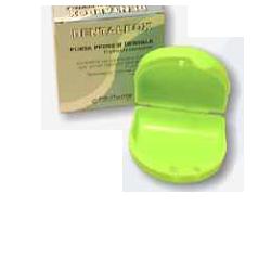 DENTAL PROSTHESIS HOLDER