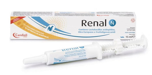 RENAL N PASTE DOSING SYRINGE 15 ML