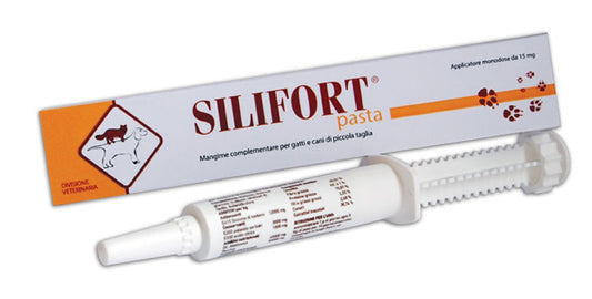 SILIFORT PASTA OS SYRINGE 30 G