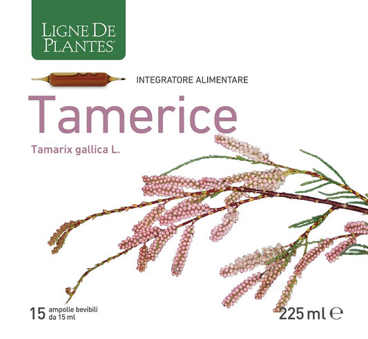 TAMERICE 15 AMPOLLE 15 ML